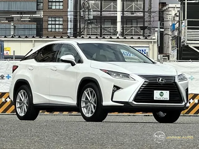 2019 Lexus RX RX300