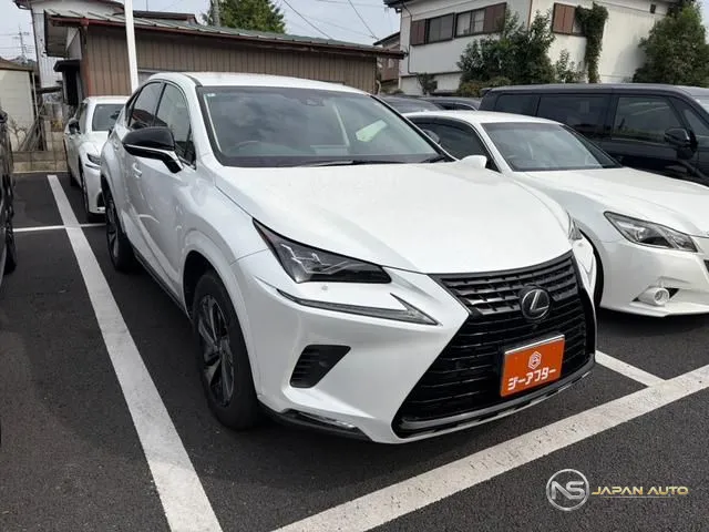 2018 Lexus NX NX300H Black Sequence