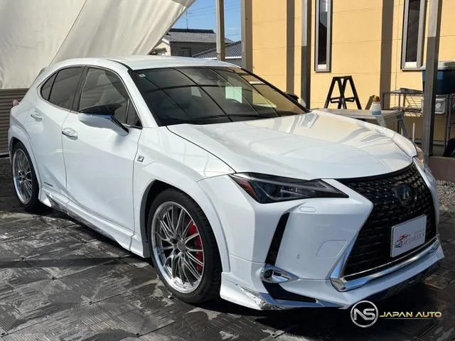 2020 Lexus UX UX250H F Sport