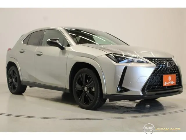 2021 Lexus UX UX250H Elegant Black