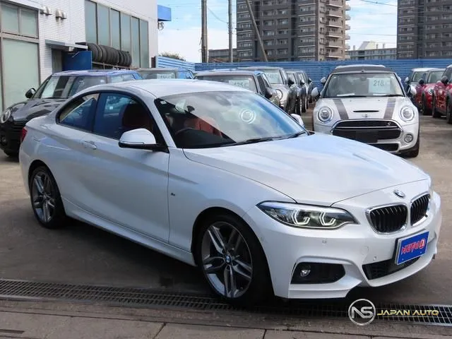 2019 BMW 2 Series 220I Coupe M Sport
