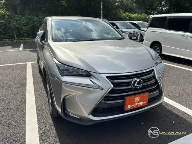 2014 Lexus NX NX200T I Package