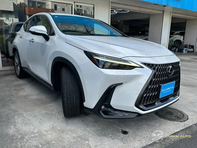 2021 Lexus NX NX350H Version L