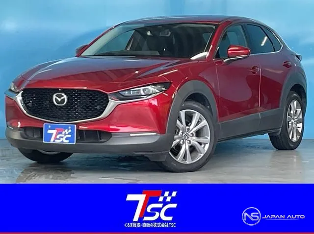 2020 Mazda CX-30 20S Proactive