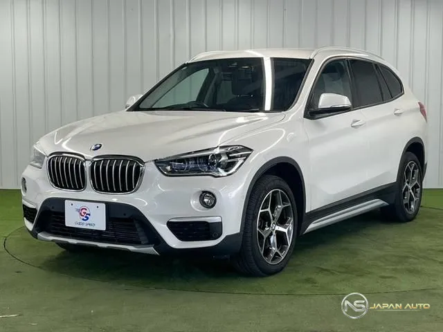 2019 BMW X1 X Drive 18D X Line