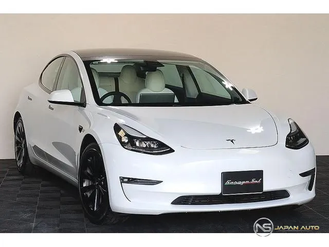 2021 Tesla Model 3 Long Range Awd