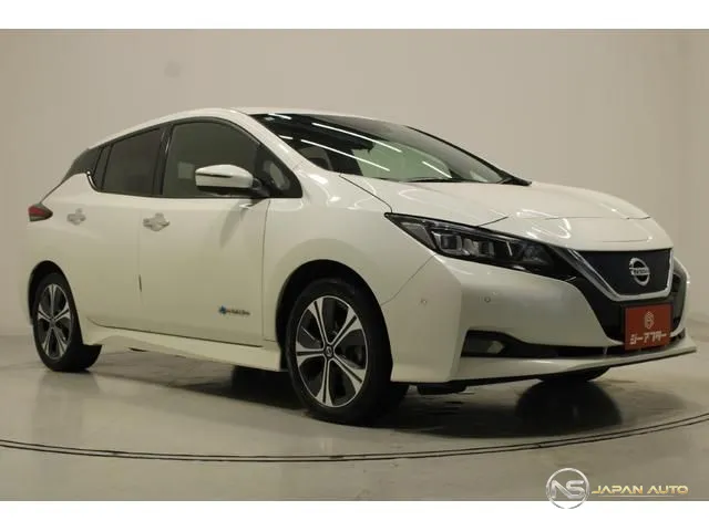 2020 Nissan Leaf E+ G