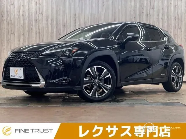 2019 Lexus UX UX250H Version L