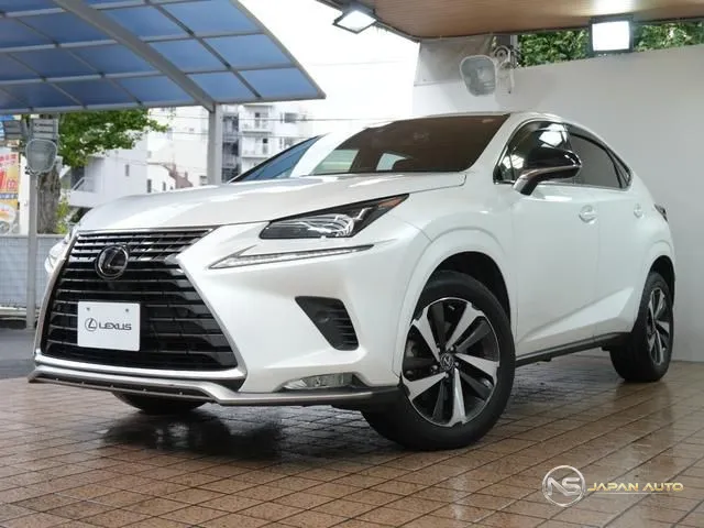 2020 Lexus NX NX300 Spice&chic