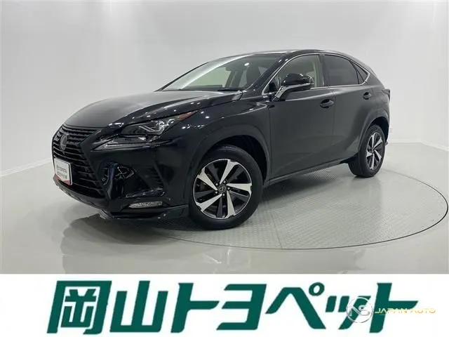 2019 Lexus NX NX300 Black Sequence