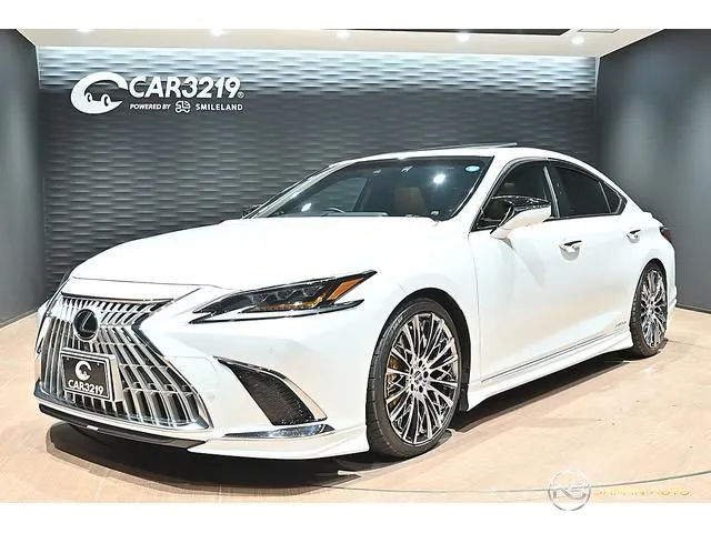 2019 Lexus ES ES300H Version L