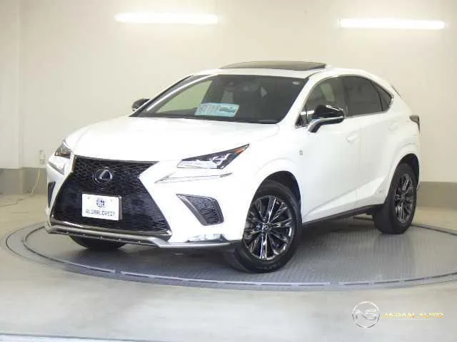 2020 Lexus NX NX300H Cool&bright