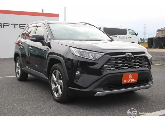 2019 Toyota RAV4 G