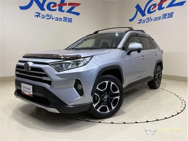 2019 Toyota RAV4 X