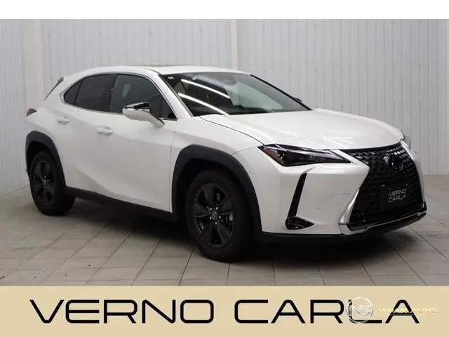 2024 Lexus UX UX300H Version C