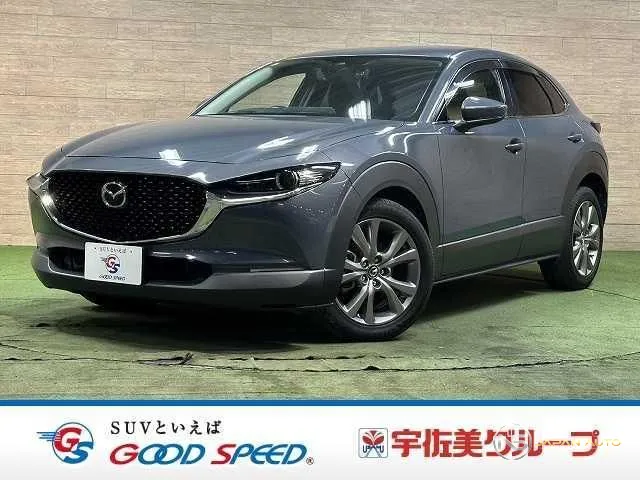 2019 Mazda CX-30 XD Proactive