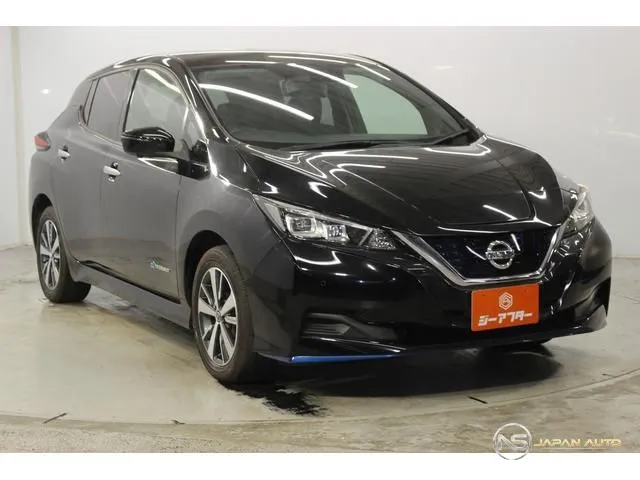2020 Nissan Leaf E+ X
