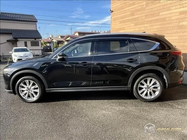 2018 Mazda CX-8 XD Proactive