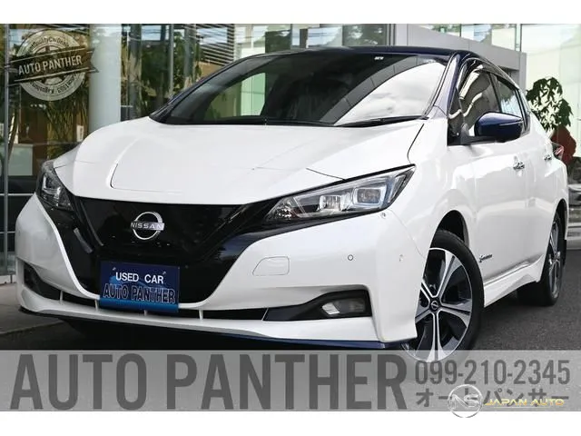 2022 Nissan Leaf