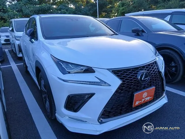 2018 Lexus NX NX300 I Package