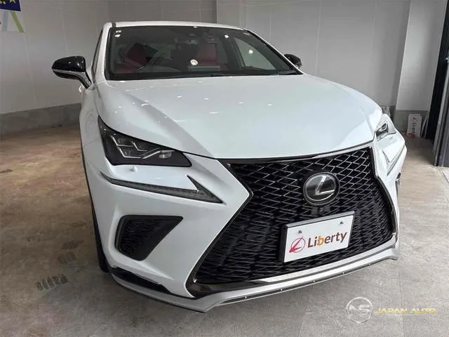 2019 Lexus NX NX300 F Sport