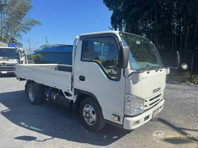 2020 Isuzu Elf Truck