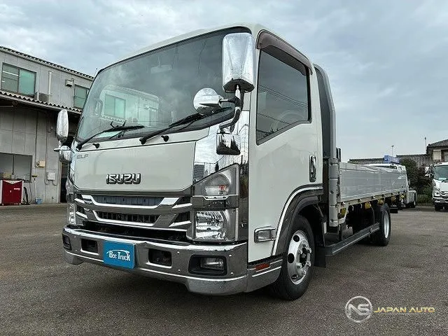2019 Isuzu Elf Truck