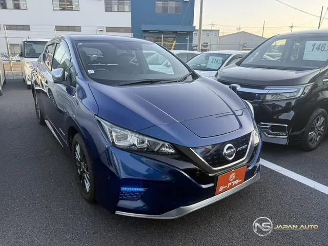 2019 Nissan Leaf E+ Autech