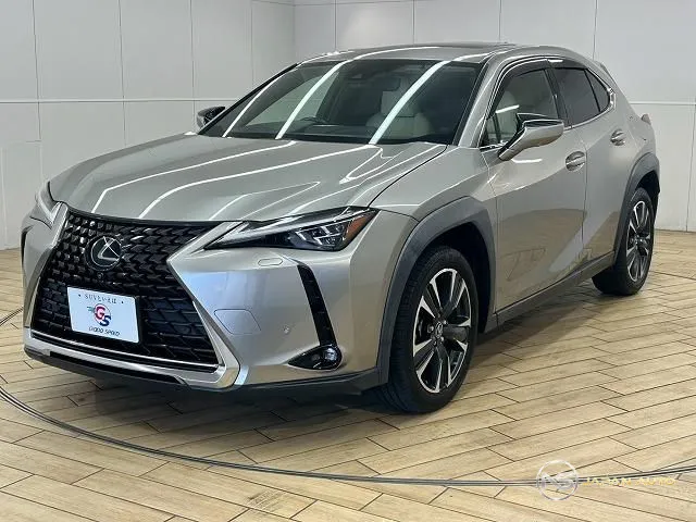 2020 Lexus UX UX200 Version L