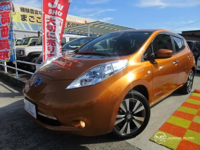 2016 Nissan Leaf G(30KWH)