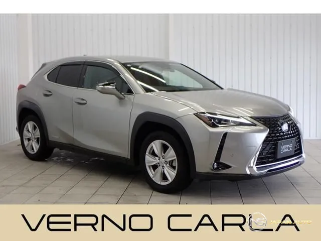 2021 Lexus UX UX250H Version C