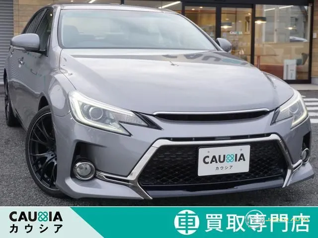 2010 Toyota Mark X 250G Relax Selection