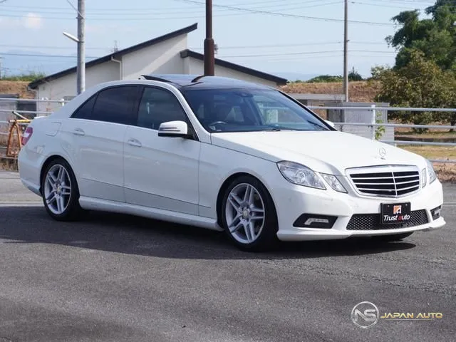 2011 Mercedes-Benz E-Class E250 Cgi Blue Efficiency Avantgarde 125! Edition