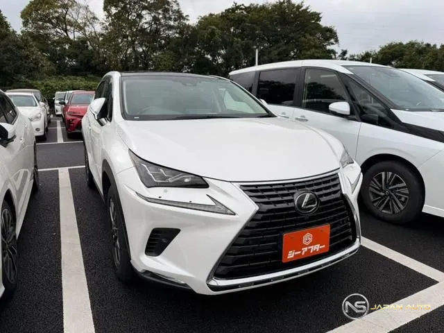 2018 Lexus NX NX300 Version L