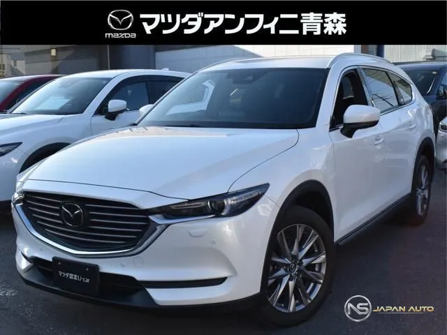 2019 Mazda CX-8 XD Proactive
